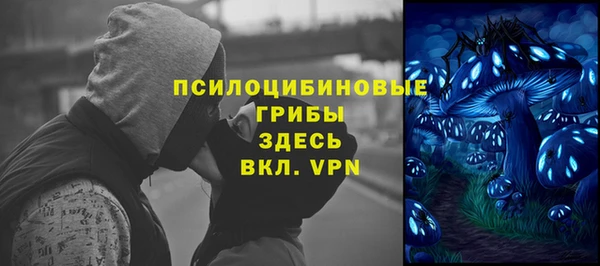 прущие крисы Балахна
